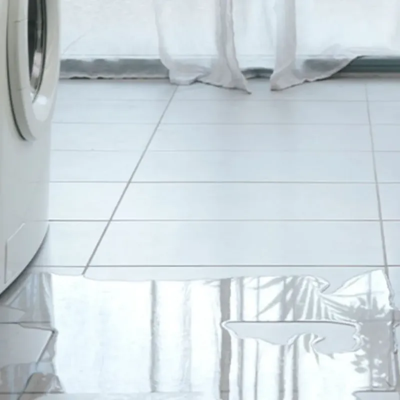 Appliance Leak Cleanup in Grove City, FL