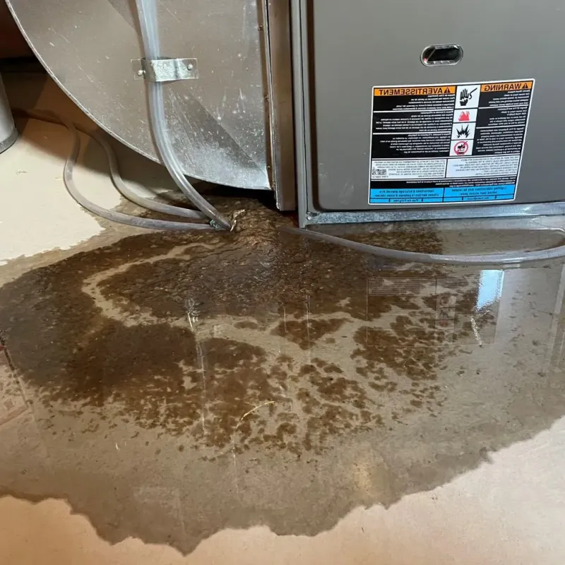 Pipe Burst and Leak Restoration in Grove City, FL